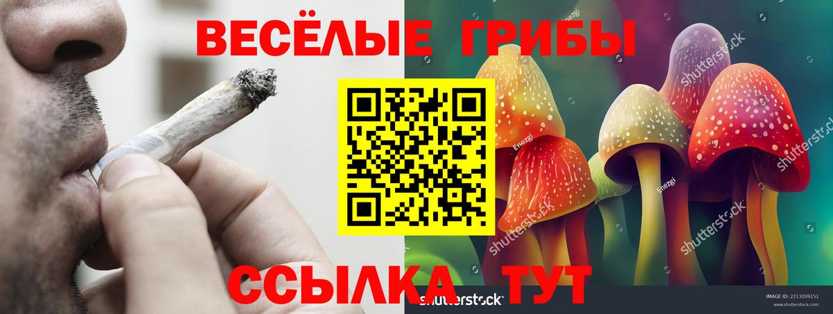 Псилоцибиновые грибы прущие грибы Орск